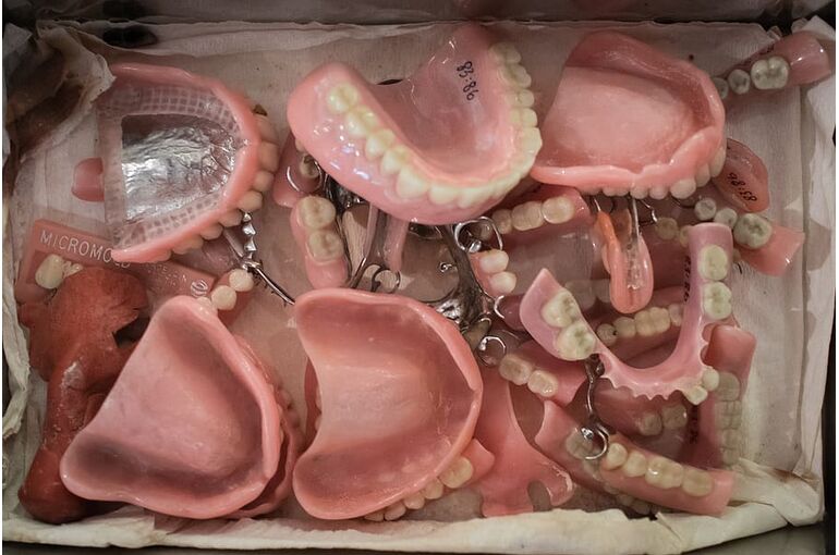 denmark-aarhus-steno-museet-teeth