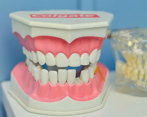 mouth-tooth-macromodelo-dentist