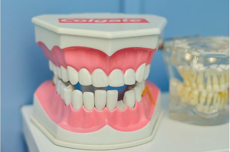 mouth-tooth-macromodelo-dentist